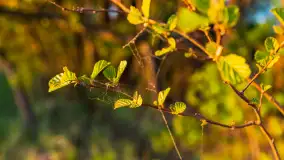 Zachód słońca nad jeziorem Tajty, okolice Wronki - zdjęcie 8