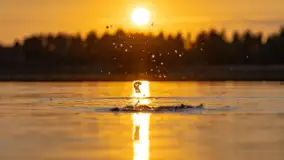 Majowy zachód słońca nad jeziorem Siercze, 2023 - zdjęcie 15