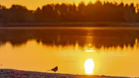 Majowy zachód słońca nad jeziorem Siercze, 2023 - zdjęcie 20