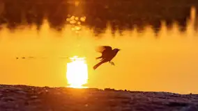 Majowy zachód słońca nad jeziorem Siercze, 2023 - zdjęcie 30