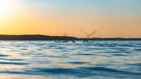 Zachód słońca nad jeziorem Niegocin, maj 2023 r. - zdjęcie 26