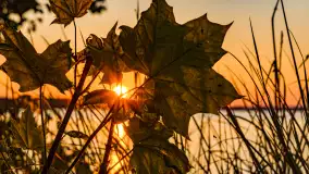 Zachód słońca nad jeziorem Niegocin, maj 2023 r. - zdjęcie 20