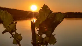 Zachód słońca nad jeziorem Kisajno widziany z dawnego Almaturu - zdjęcie 35