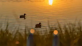 Zachód słońca nad jeziorem Kisajno widziany z dawnego Almaturu - zdjęcie 29