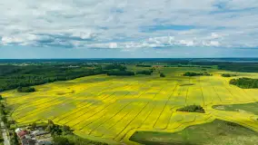 Wspomnienia rzepakowych pól na Mazurach 2023 - zdjęcie 15