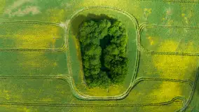 Wspomnienia rzepakowych pól na Mazurach 2023 - zdjęcie 11