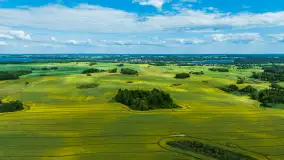 Wspomnienia rzepakowych pól na Mazurach 2023 - zdjęcie 27