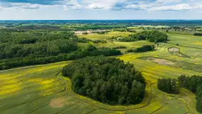 Wspomnienia rzepakowych pól na Mazurach 2023 - zdjęcie 29