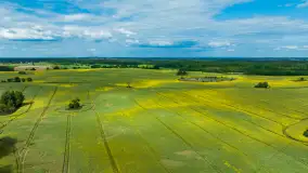 Wspomnienia rzepakowych pól na Mazurach 2023 - zdjęcie 80