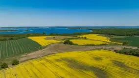 Wspomnienia rzepakowych pól na Mazurach 2023 - zdjęcie 64