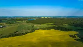 Wspomnienia rzepakowych pól na Mazurach 2023 - zdjęcie 54