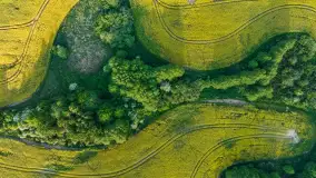 Wspomnienia rzepakowych pól na Mazurach 2023 - zdjęcie 40