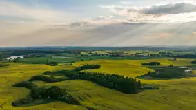 Wspomnienia rzepakowych pól na Mazurach 2023 - zdjęcie 43