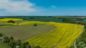 Wspomnienia rzepakowych pól na Mazurach 2023 - zdjęcie 57