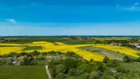 Wspomnienia rzepakowych pól na Mazurach 2023 - zdjęcie 74