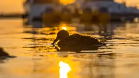 Zachód słońca nad jeziorem Świecajty, widok z Ognistego Ptaka, czerwiec 2023 r. - zdjęcie 8