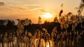 Zachód słońca nad jeziorem Mój, maj 2023 r. - zdjęcie 16