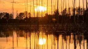 Zachód słońca nad jeziorem Mój, maj 2023 r. - zdjęcie 11