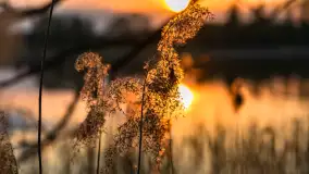 Zachód słońca nad jeziorem Mój, maj 2023 r. - zdjęcie 4