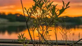 Zachód słońca nad jeziorem Tałty w Mikołajkach, czerwiec 2023 r. - zdjęcie 27