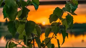 Zachód słońca nad jeziorem Tałty w Mikołajkach, czerwiec 2023 r. - zdjęcie 30