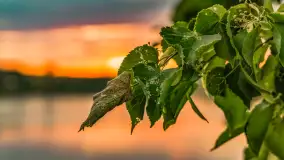 Zachód słońca nad jeziorem Tałty w Mikołajkach, czerwiec 2023 r. - zdjęcie 21