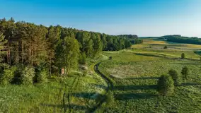 Mazurskie pola i łąki z lotu ptaka, czerwiec 2023 r. - zdjęcie 3