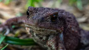 Najmniejsi mieszkańcu Mazur w naszym obiektywie, lipiec 2023 r. - zdjęcie 20