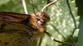 Najmniejsi mieszkańcu Mazur w naszym obiektywie, lipiec 2023 r. - zdjęcie 36