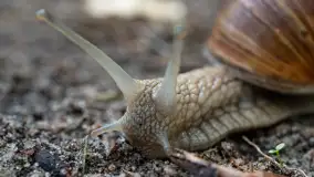 Najmniejsi mieszkańcu Mazur w naszym obiektywie, lipiec 2023 r. - zdjęcie 15