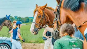 Fotorelacja z Sulimiady, czerwiec 2023 r. - zdjęcie 4