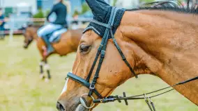 Fotorelacja z Sulimiady, czerwiec 2023 r. - zdjęcie 39