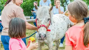 Fotorelacja z Sulimiady, czerwiec 2023 r. - zdjęcie 59