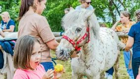Fotorelacja z Sulimiady, czerwiec 2023 r. - zdjęcie 65