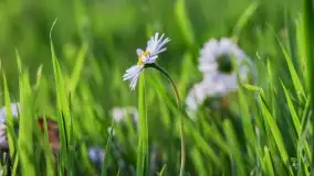 Zachód słońca nad jeziorem Dejgunek, maj 2023 r. - zdjęcie 13