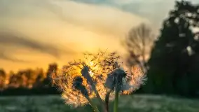 Zachód słońca nad jeziorem Dejgunek, maj 2023 r. - zdjęcie 20