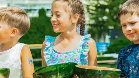Fotorelacja z Arbuzobrania i Mistrzostw Polski w Flyboardingu cz. I - zdjęcie 115