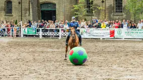 Fotorelacja z czempionatu w Stadzie Ogierów w Kętrzynie, lipiec 2023 - zdjęcie 44