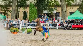 Fotorelacja z czempionatu w Stadzie Ogierów w Kętrzynie, lipiec 2023 - zdjęcie 29