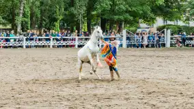 Fotorelacja z czempionatu w Stadzie Ogierów w Kętrzynie, lipiec 2023 - zdjęcie 15