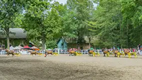 Fotorelacja z czempionatu w Stadzie Ogierów w Kętrzynie, lipiec 2023 - zdjęcie 53