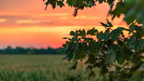 Zachód słońca w okolicach Wopławek i Kętrzyna - zdjęcie 23