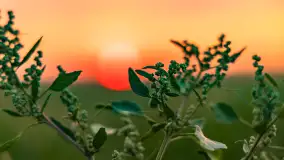 Zachód słońca w okolicach Wopławek i Kętrzyna - zdjęcie 28