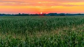 Zachód słońca w okolicach Wopławek i Kętrzyna - zdjęcie 9