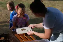 Święto Chleba Mleka i Miodu w Pieckach - zdjęcie 5