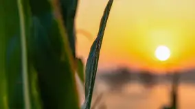 Wschód słońca we wsi Pożarki, wrzesień 2023 r. - zdjęcie 30