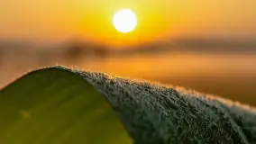 Wschód słońca we wsi Pożarki, wrzesień 2023 r. - zdjęcie 6