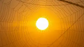 Wschód słońca we wsi Pożarki, wrzesień 2023 r. - zdjęcie 42