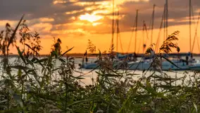 Sierpniowy wieczór i zachód słońca nad Darginem - zdjęcie 36