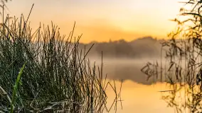 Wrześniowy i mglisty wschód słońca nad jeziorem Mój - zdjęcie 2